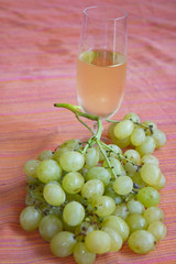 grape-harvest time. White wine and bunch of grapes
