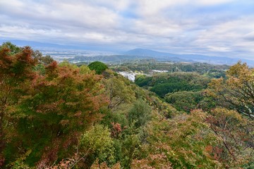 Fototapeta na wymiar 奈良と大阪の寺と神社の紅葉
