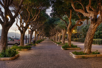 Obraz premium Trapani City Canopy