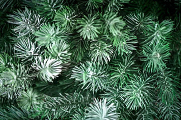 Merry Christmas and happy New year. The texture of fir tree branches. Background with copy space. Selective focus. Christmas background.