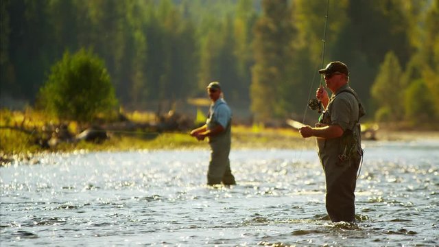 River wading males freshwater fly fishing in American Wilderness