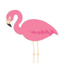 illustration of cute cartoon flamingo on white background