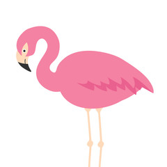 illustration of cute cartoon flamingo on white background