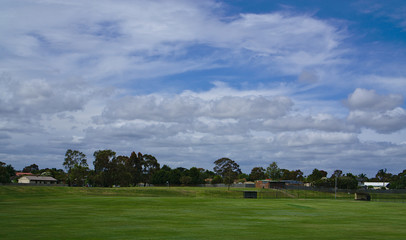 Empty park full of green grass