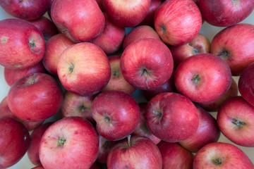 Ripe red apples (Jonathan cultivar) from above