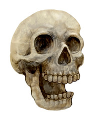 Obraz premium Illustration of a skull icon vector for Halloween