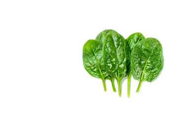 Top view of wet fresh  spinach leaves isolated on white