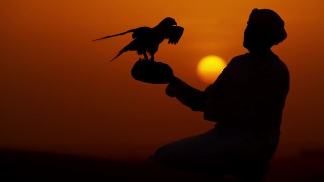 Silhouette of Middle Eastern falconer in desert with his bird of prey at sunrise