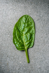 Top view of wet fresh spinach leaf on grey background
