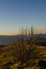 Bieszczady 