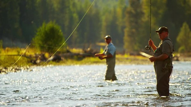 Canadian males fly fishing in competition on freshwater river