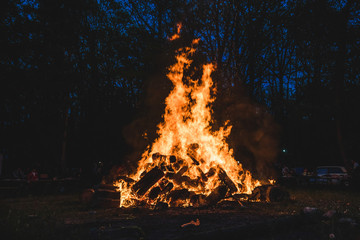 Bonfire burning trees at night. Large orange flame isolated on a black background. Fire on black....