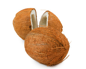 isolated image of coconut close up
