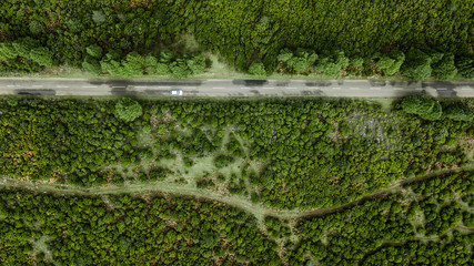 Drone aerial view from above of road through the green autumn forest in 