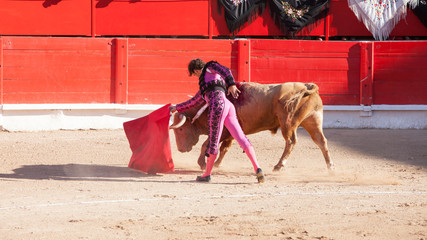Bullfight, Spanish deadly Spectacle where a man (torero) risks his life fighting again an angry...