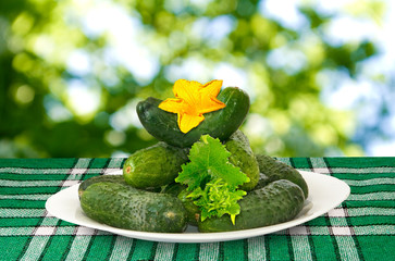 cucumbers on plate close up