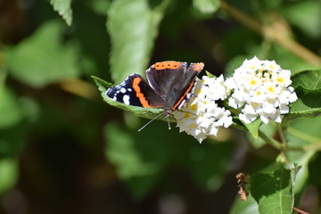 Cyprus beautiful  good morning