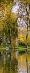 Fototapeta na wymiar image of autumn park