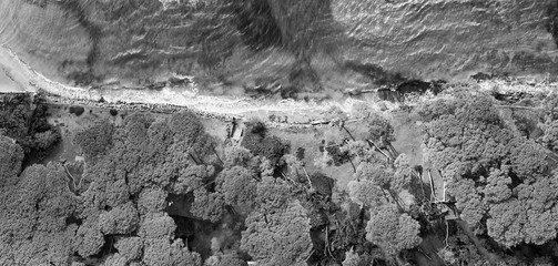 Overhead aerial view of beautiful beach and pinewood, panoramic landscape