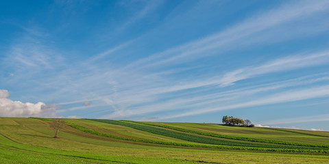 Feldlandschaft Panorama im Herbst