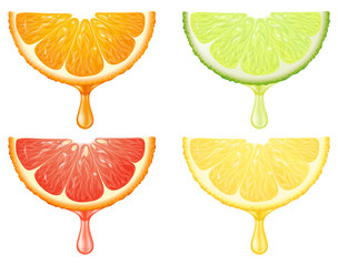 A set of citrus slices with juice drop. Vector illustration.
