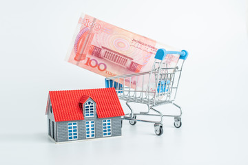 Buy a house / shopping cart, house, currency