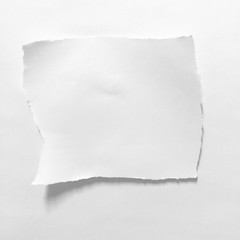 Torn paper background, empty space for text.