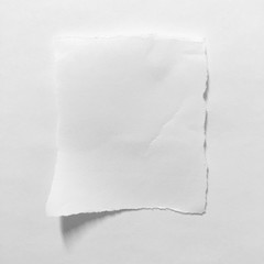 Torn paper background, empty space for text.