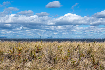 Meadow on the Bay