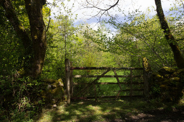 English Field Gate