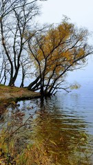 Obraz premium late fall