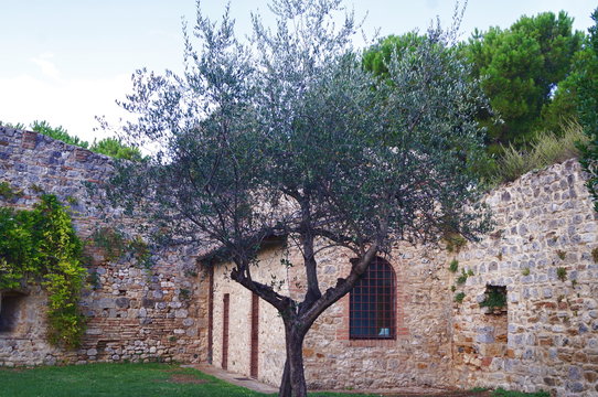 Rocca of San Gimignano, Tuscany, Italy