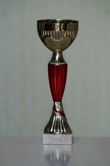 The Cup symbolizes the victory and success