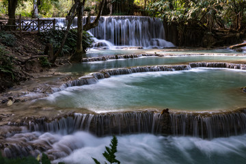 Fototapeta premium Laos - Luang Prabang - Tat Kuang Si Wasserfälle