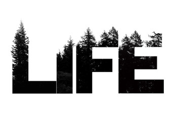 Life word made from outdoor wilderness treetop lettering