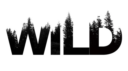 Wild word made from outdoor wilderness treetop lettering
