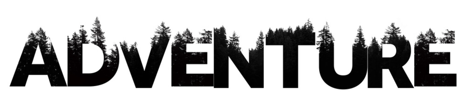 Adventure word made from outdoor wilderness treetop lettering