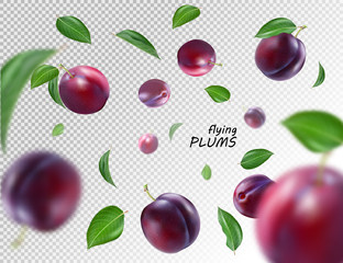 Flying purple plums on transparent background. Realistic quality vector. Eps10.