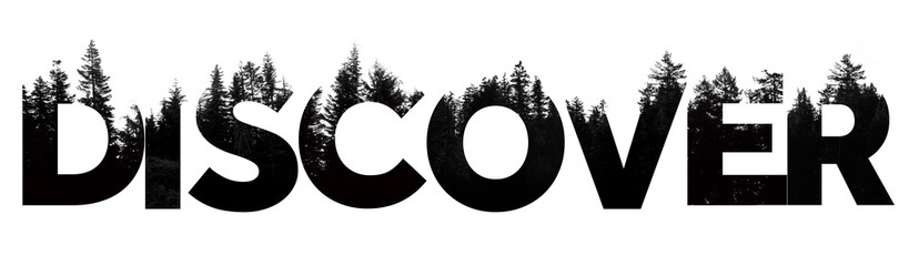 Discover word made from outdoor wilderness treetop lettering