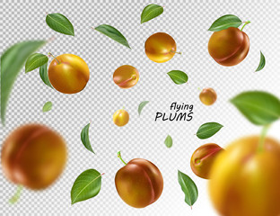 Flying orange plums on transparent background. Realistic quality vector. Eps10. 3d illustration