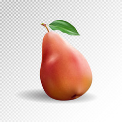 Pear realistic. Vector 10EPS. Red pear, punching bag, punching ball, punchbag, punchball. 3d illustrattion