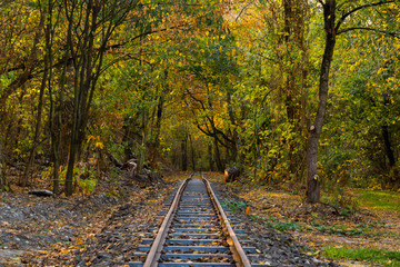 Fototapeta na wymiar Old Rails in autumn Forrest, railroad in colorful forest, autumn Forest and railway, crooked rails in the forest