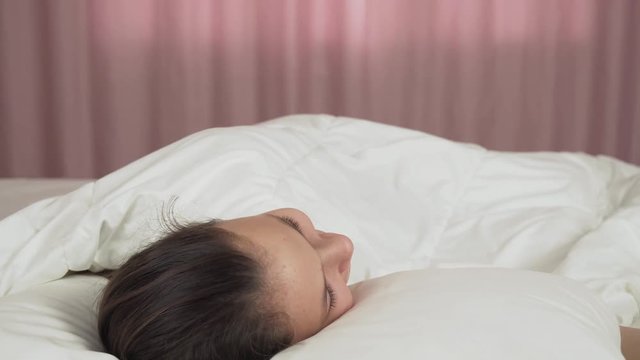 Papillon dog wakes teen girl in the bed stock footage video