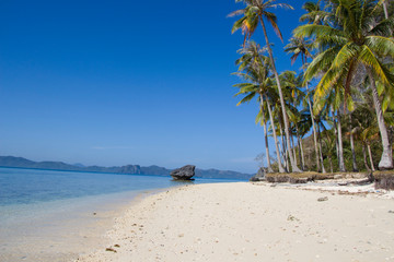 tropical beach in philippines
