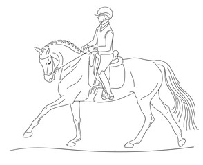 Equestrian sport - dressage. Hand drawing illustration. Young woman galloping horse.