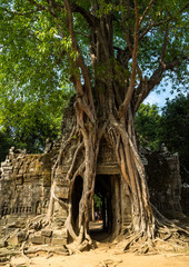 Kambodscha - Angkor - Ta Som