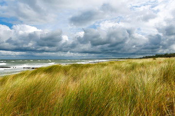 Stormy day with waves, wind and cloudy sky at the Baltic Sea of the Darss, Germany.