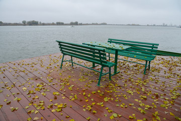 Серая осень