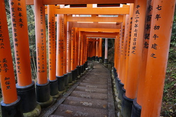 Famous torii gates on the path to Fushimi Inari Taisha shrine in Kyoto, Japan.