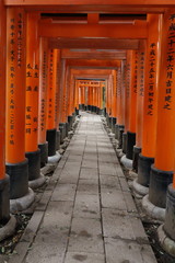 Famous torii gates on the path to Fushimi Inari Taisha shrine in Kyoto, Japan.